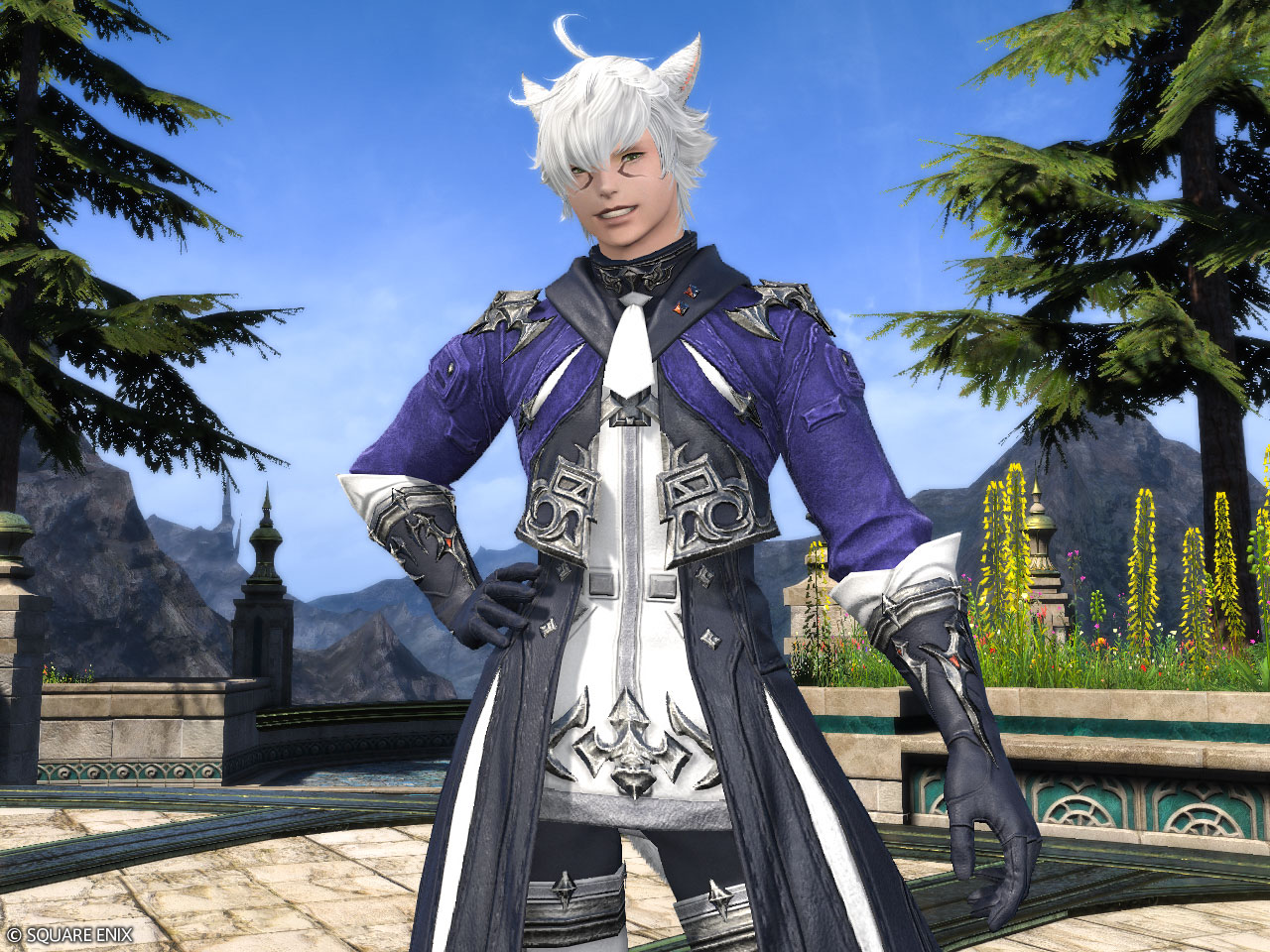 新款阿爾菲諾套裝