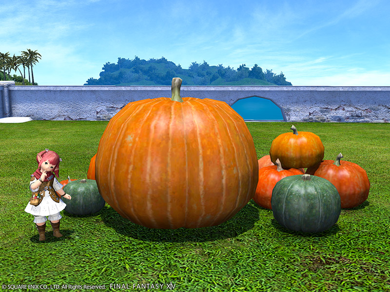 特製南瓜鬼魂組合